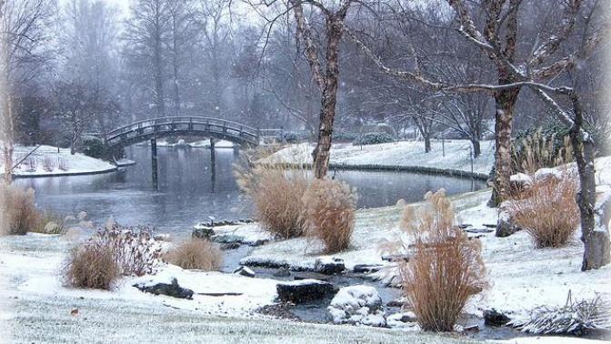The Beauty of Snow