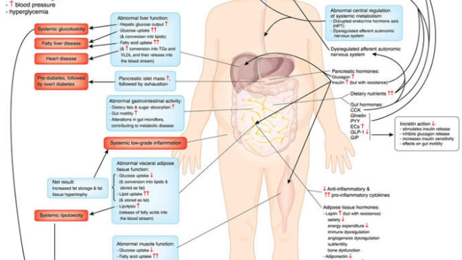 Why We Must View Metabolic Diseases As A Collective Problem, Not A Personal Problem