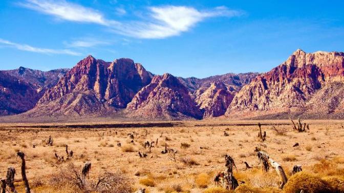 Nevada: The S*it I Didn't Tell You