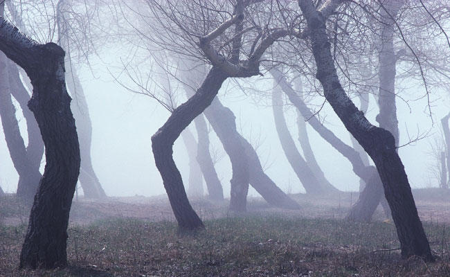 Horror Movie Scenarios that actually happened.