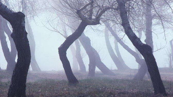 Horror Movie Scenarios that actually happened.