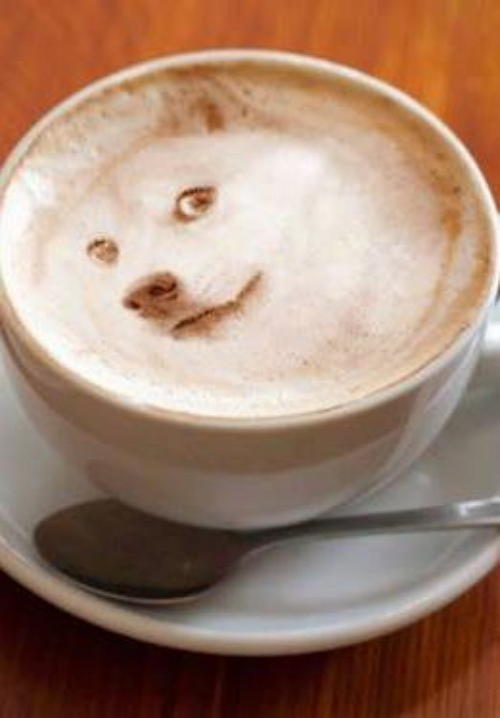 Amazing Latte Foam Art
