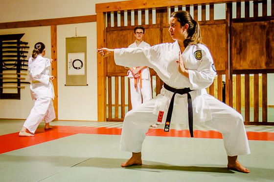 Some Martial Arts That People Have Forgotten About