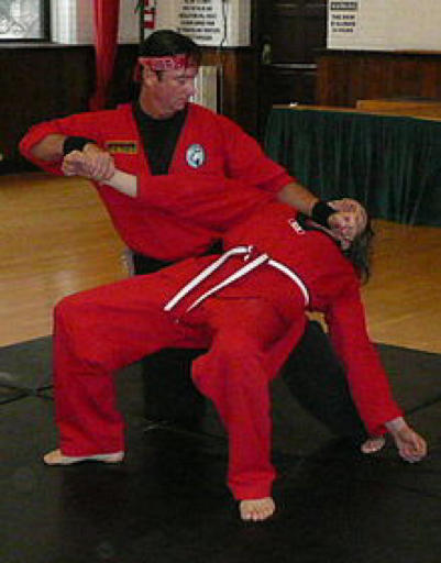 Some Martial Arts That People Have Forgotten About