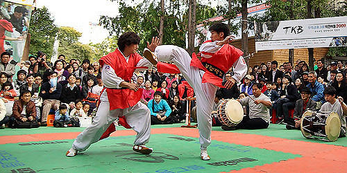 Some Martial Arts That People Have Forgotten About