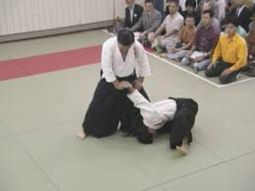 Some Martial Arts That People Have Forgotten About