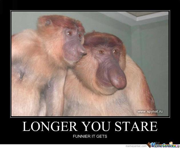 10 Funny Primate Memes