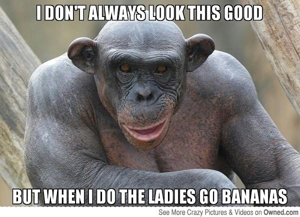 10 Funny Primate Memes