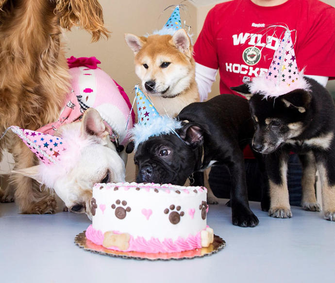 10 Birthday Cakes with Puppies