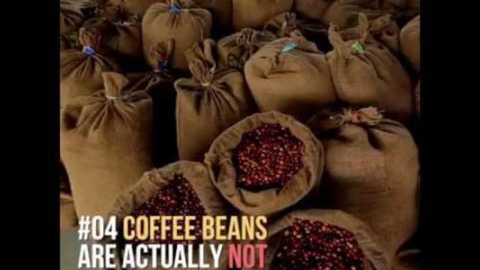 You are what eat; 8 strange facts of everyday food you should know about