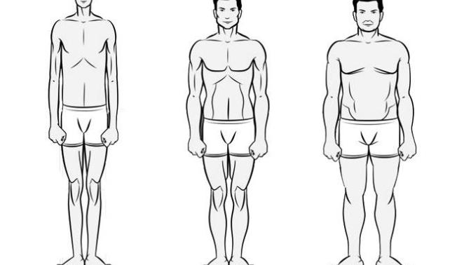 The Body Types That Women Prefer and Why