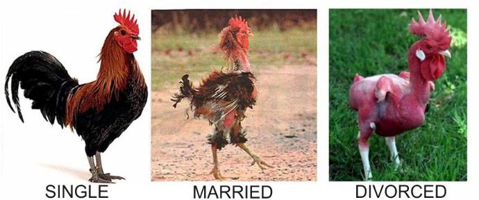 Why You Should Not Marry
