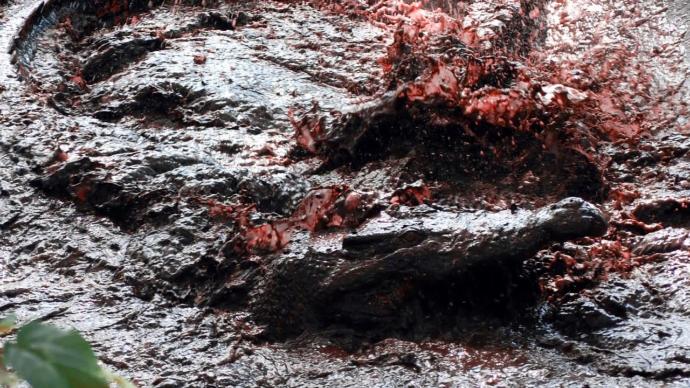 8 less known facts about the Second World War