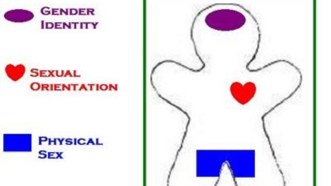 GenderQueer Theory Explained