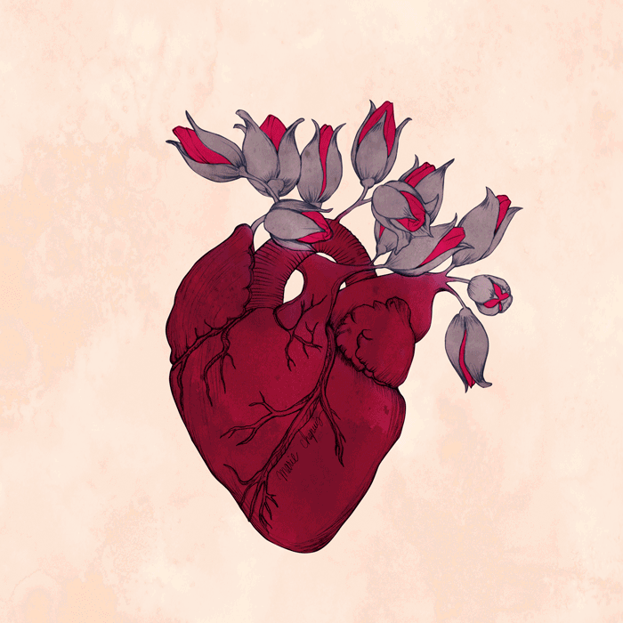 QOTW Answered: Does Time Heal All Wounds?