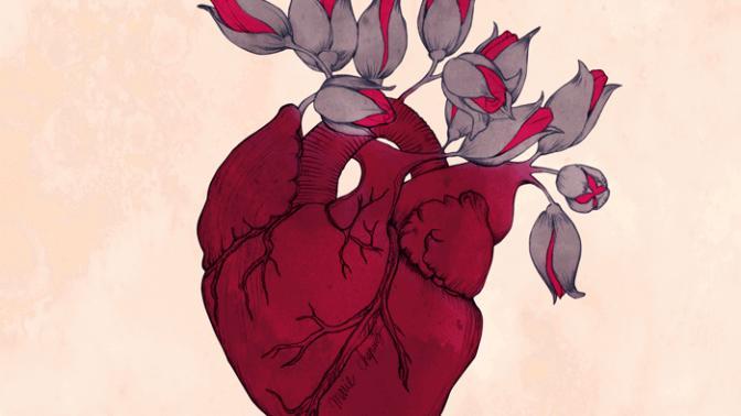 QOTW Answered: Does Time Heal All Wounds?