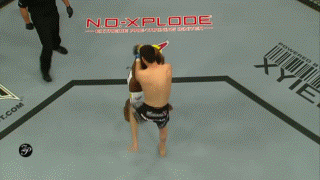 Top 10 Best UFC Submissions of All Time