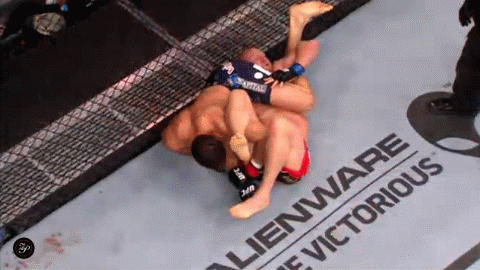 Top 10 Best UFC Submissions of All Time