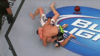 Top 10 Best UFC Submissions of All Time
