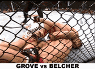 Top 10 Best UFC Submissions of All Time