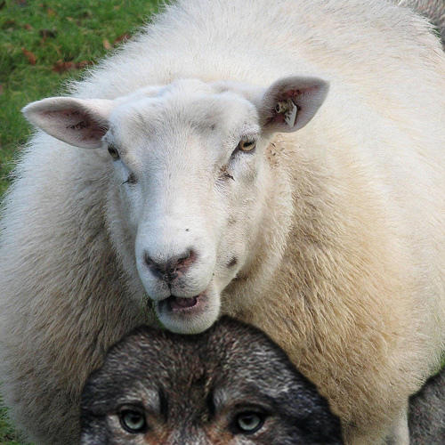 You Might Want To End These "Friendships"