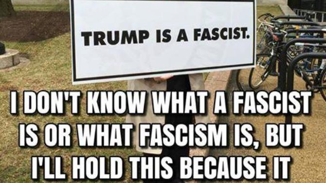 My Thoughts on Anti-Trump Rioters in DC and Europe