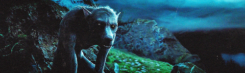 Some of My Dreams That I Remember