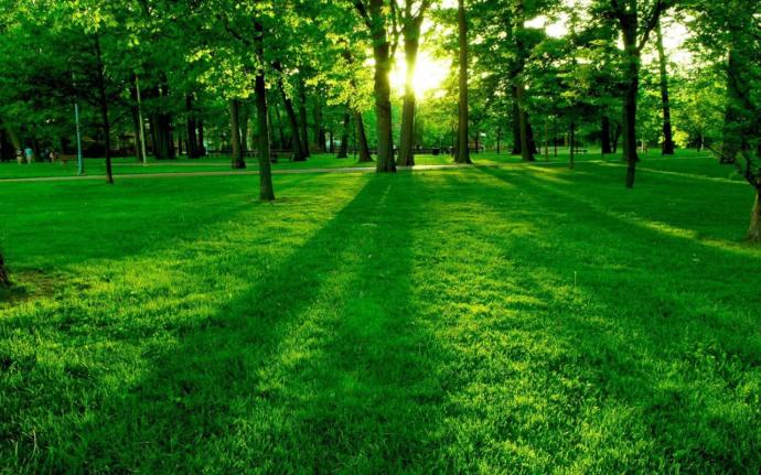 Manifesto for a Happy Earth! aka How to end Violence Part 4