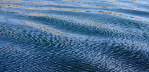 The Book Of Dreams Vol. 1 (Prologue & Part I)