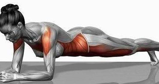 Crunches Vs Planks: Which is Healthier?