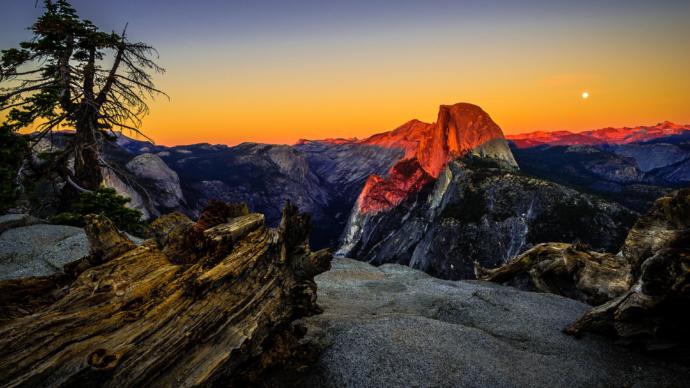 11 Unpopular Opinions of Mine