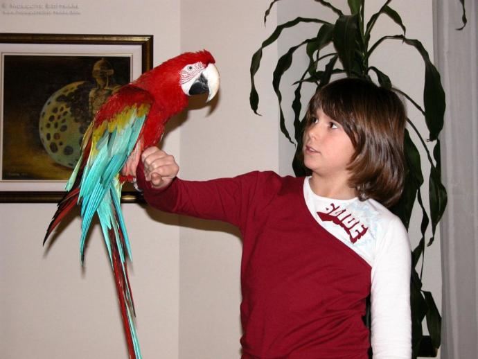 5 of the Most Unique Exotic Pets