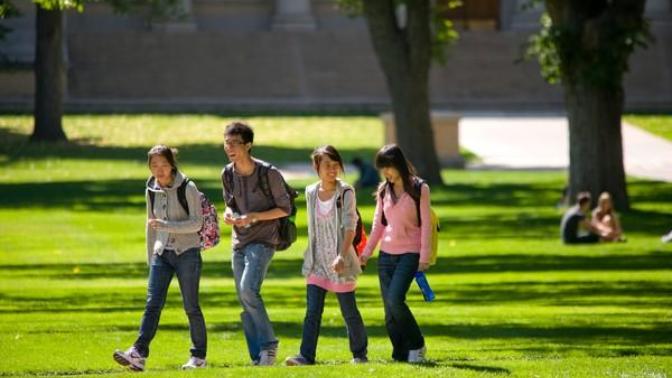 Why You Should Register for Summer College Courses