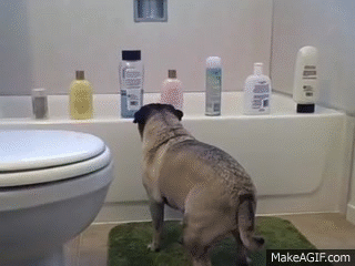 Don't Shampoo Too Often🙅 💆