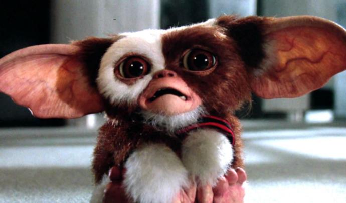 My Review On The 1984 Movie Gremlins