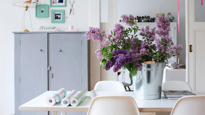 5 Splendid Reasons to Have Indoor Plants In Your Home