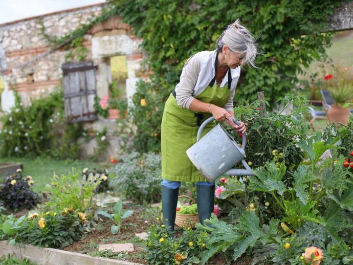 The 6 Most Common Gardening Mistakes