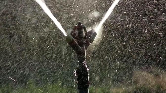 The 6 Most Common Gardening Mistakes