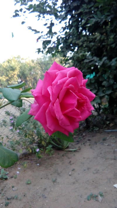 Some More Signs That he is Interested in You (Part 2)