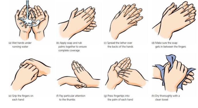 7 Easy Tips for a Healthy Life