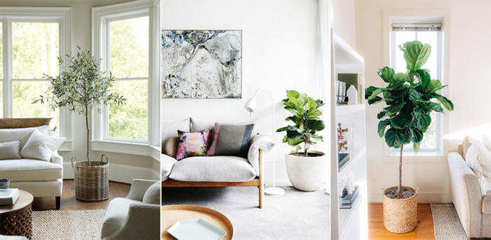 Creating a Feeling of Steady Calm in Your Home