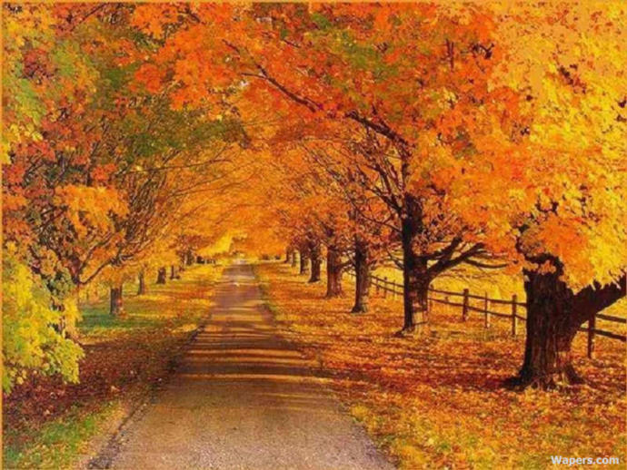 The Times of the Four Seasons