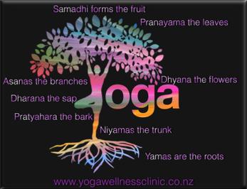 Most Everyone Practices Yoga, and Here’s Why