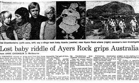 The Australian Dingo