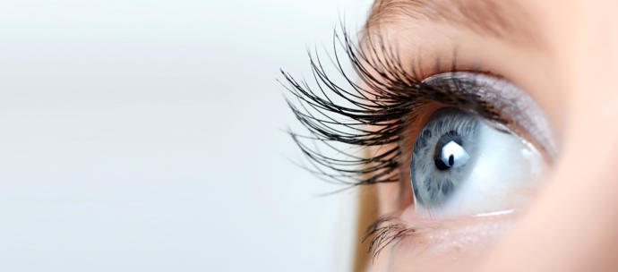 Eyelashes To Dream Of
