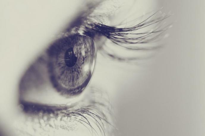 Eyelashes To Dream Of