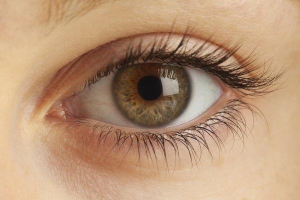 Eyelashes To Dream Of