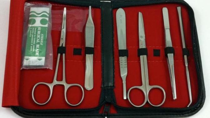 The Last Cut Is The Deepest: My Take On Human Dissection