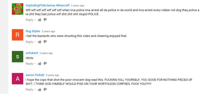 My Take on Animal Lovers