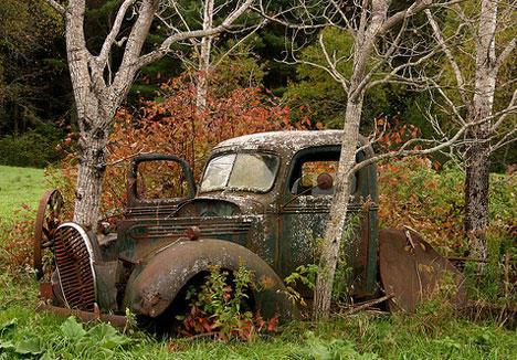 Stunning Pictures Show How Nature has Reclaimed Cars Left Abandoned
